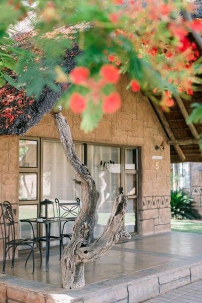 Tshukudiba Game Lodge Tom Burke Exteriör bild